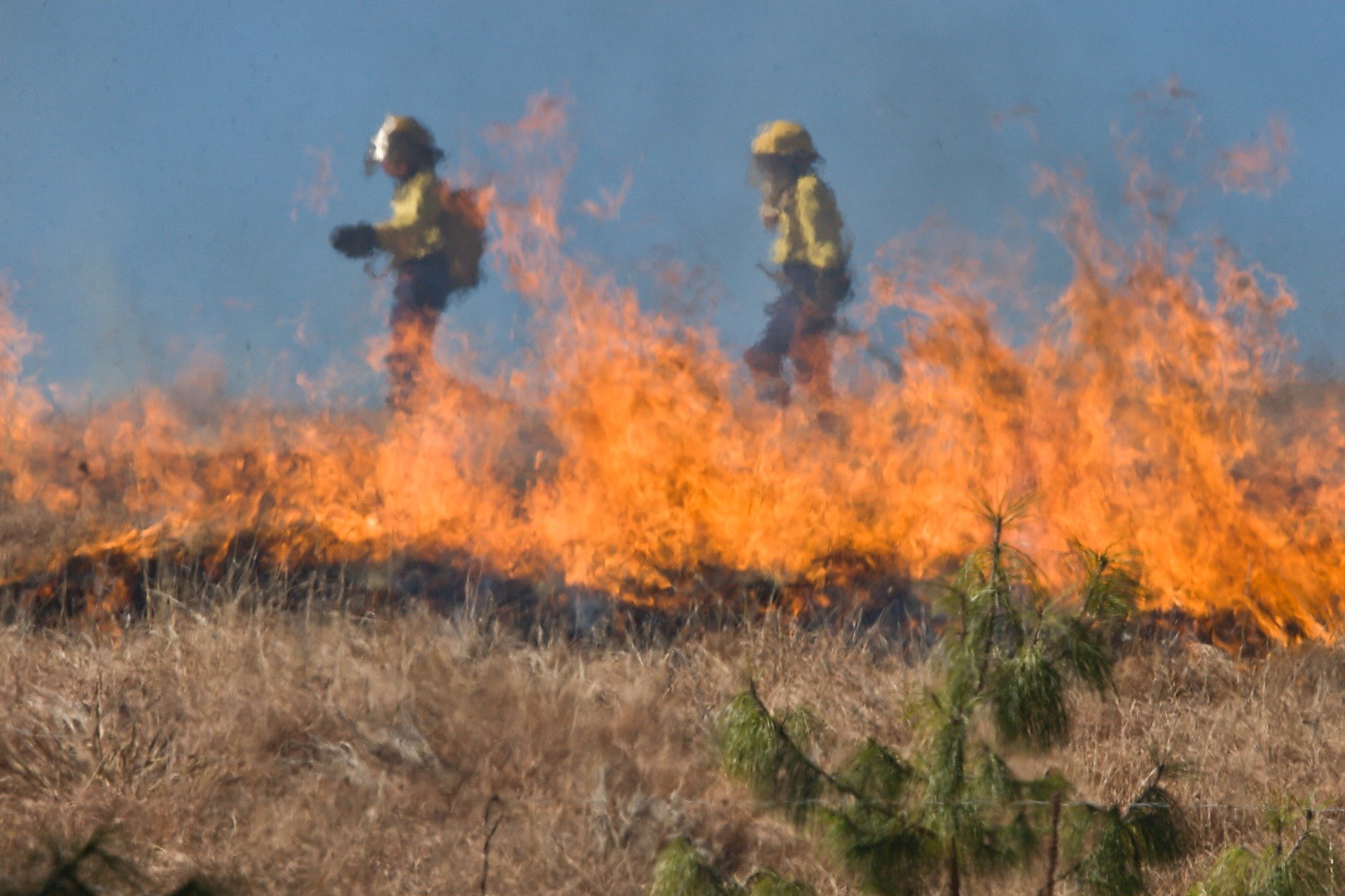 Dwóch strażaków gasi podpalone trawy